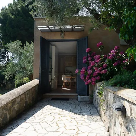 Apartment Frascati