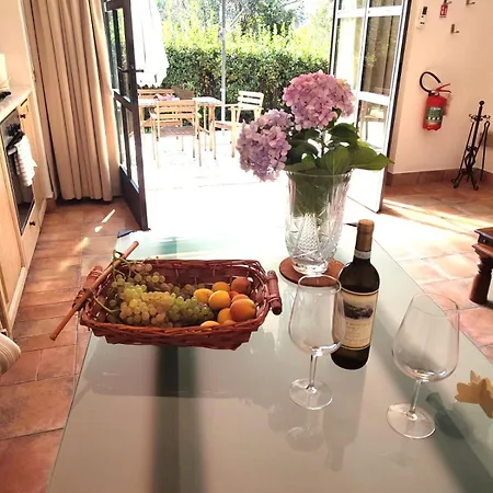 Apartment Frascati Grottaferrata